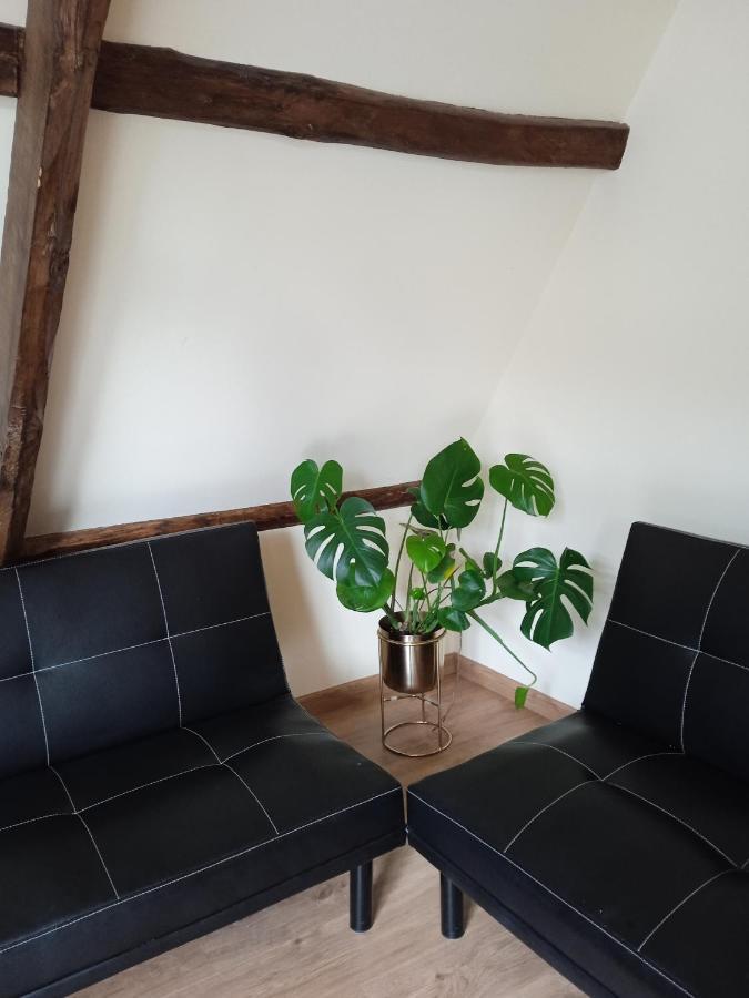 Albergue De Peregrinos Compostela 莫利纳塞卡 外观 照片
